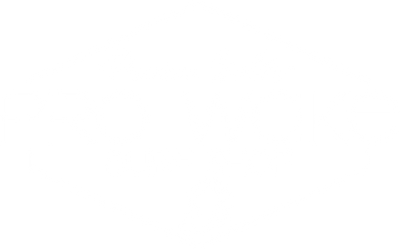 Pro Wake Surf Shop